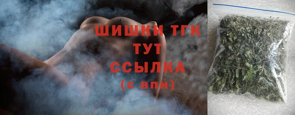 сатива Няндома