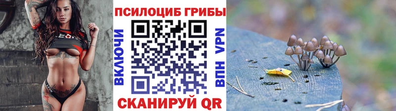 купить закладку  Струнино  Галлюциногенные грибы мицелий 