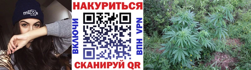 Бошки марихуана планчик даркнет сайт Струнино